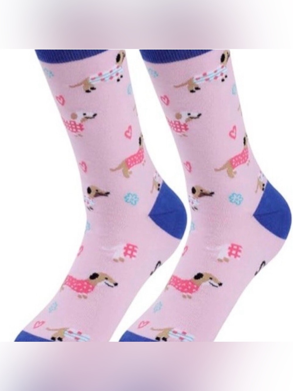 🌻 Dachshund Crew Socks Cute Fun New In Package
